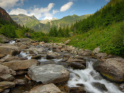 Topolog, rau de munte